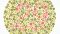 Ishihara-​Farbtafel