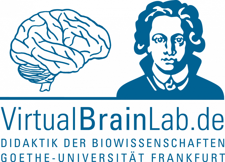 VirtualBrainLab
