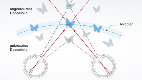 dreidimensionale Abbildung auf der Retina